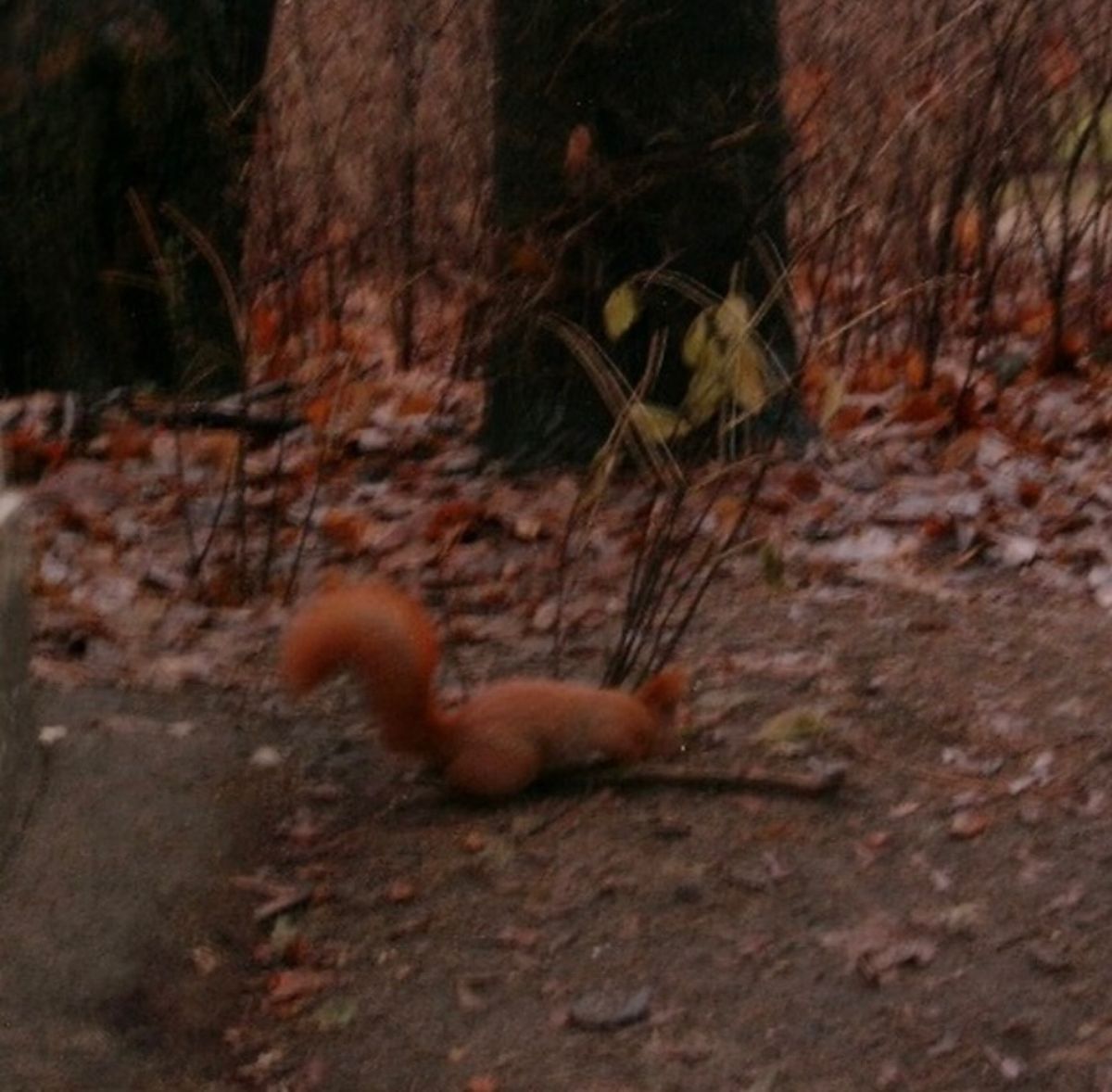 2008年1月20日頃。ワルシャワ。郊外のホステル周辺。