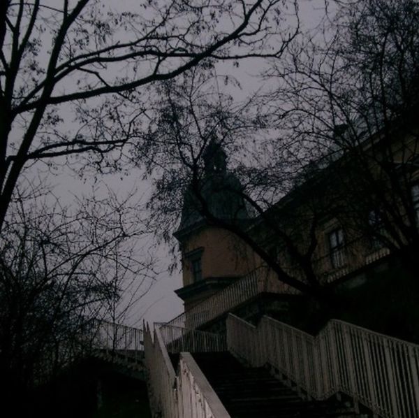 リトアニア・クライペダ「関空→ヴィルニス→クライペダ→ ヴィルニス→ワルシャワ→ グダンスク→ ワルシャワ→ ヴィルニス→ ワルシャワ→ 関空」の写真：2008年1月20日頃。ワルシャワ。郊外...