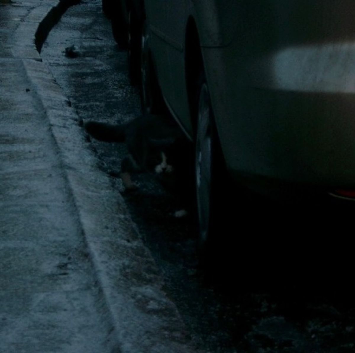 2007年12月25日から29日。ヴィルニス。