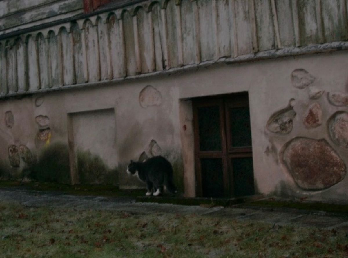 2007年12月25日から29日。ヴィルニス。