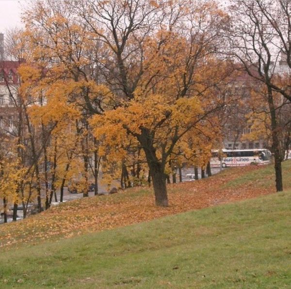 リトアニア・クライペダ「関空→ヴィルニス→クライペダ→ ヴィルニス→ワルシャワ→ グダンスク→ ワルシャワ→ ヴィルニス→ ワルシャワ→ 関空」の写真