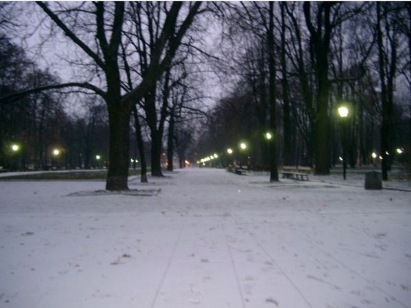 リトアニア・クライペダ「関空→ヴィルニス→クライペダ→ ヴィルニス→ワルシャワ→ グダンスク→ ワルシャワ→ ヴィルニス→ ワルシャワ→ 関空」の写真：2007年12月16日から17日。ワルシャワ。