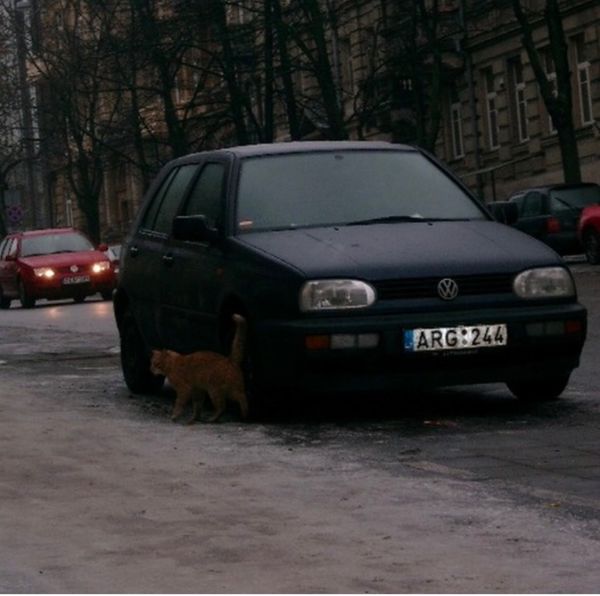 リトアニア・クライペダ「関空→ヴィルニス→クライペダ→ ヴィルニス→ワルシャワ→ グダンスク→ ワルシャワ→ ヴィルニス→ ワルシャワ→ 関空」の写真：2007年12月30日。ヴィルニス。