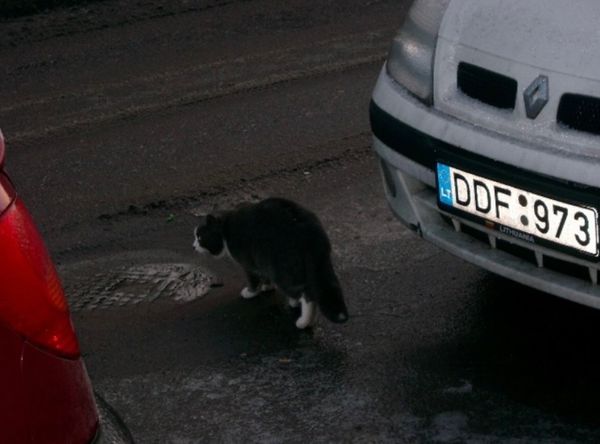 リトアニア・クライペダ「関空→ヴィルニス→クライペダ→ ヴィルニス→ワルシャワ→ グダンスク→ ワルシャワ→ ヴィルニス→ ワルシャワ→ 関空」の写真：2007年12月25日から29日。ヴィルニス。