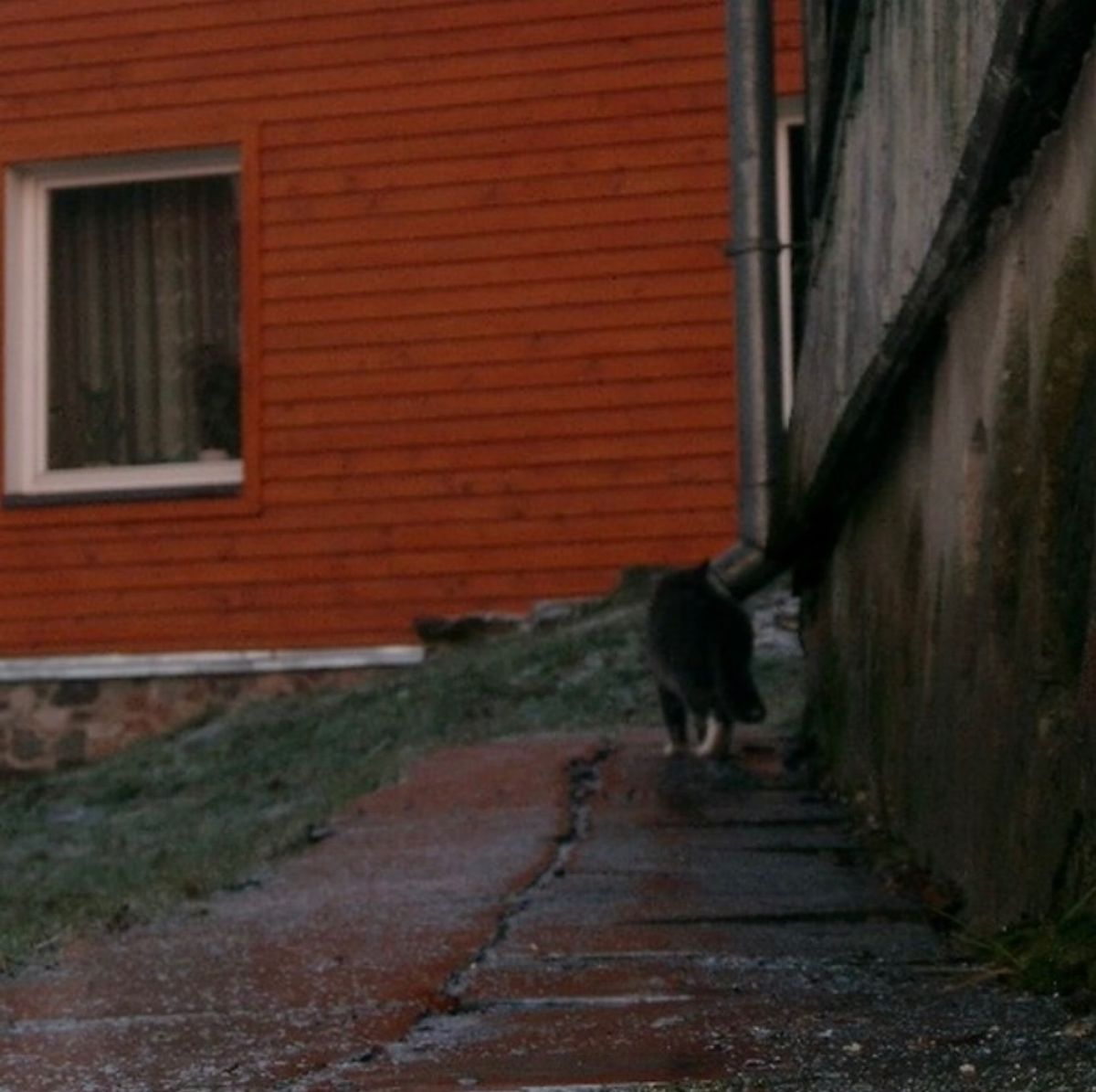 2007年12月25日から29日。ヴィルニス。