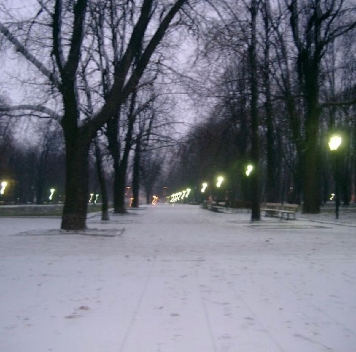 2007年12月15日。ワルシャワ。