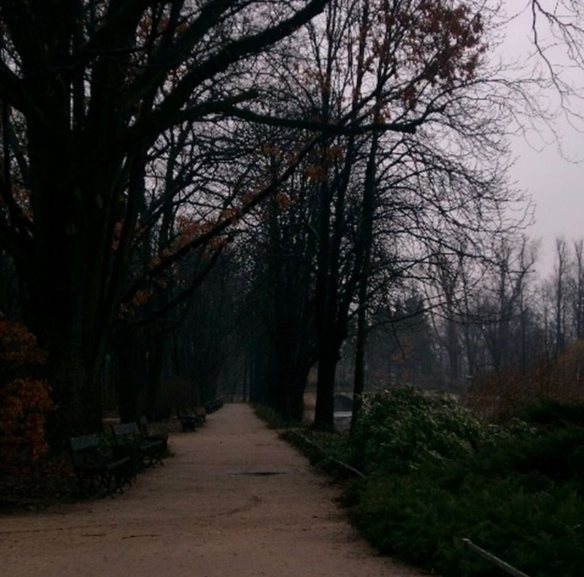 2008年1月20日頃。ワルシャワ。郊外のホステル周辺。