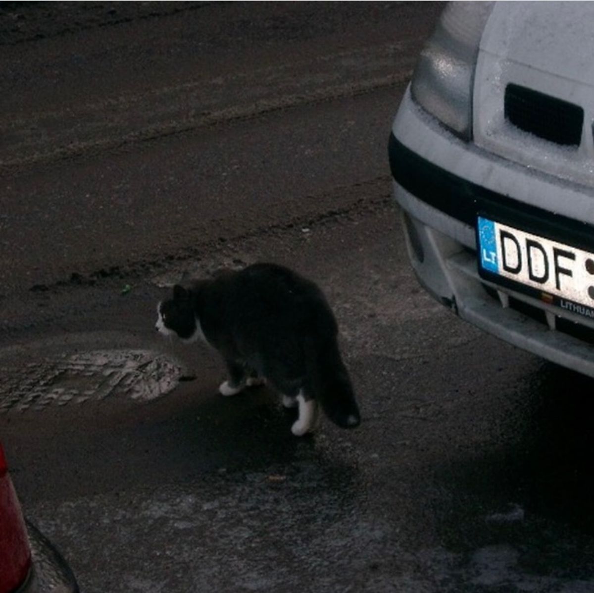 2007年12月25日から29日。ヴィルニス。