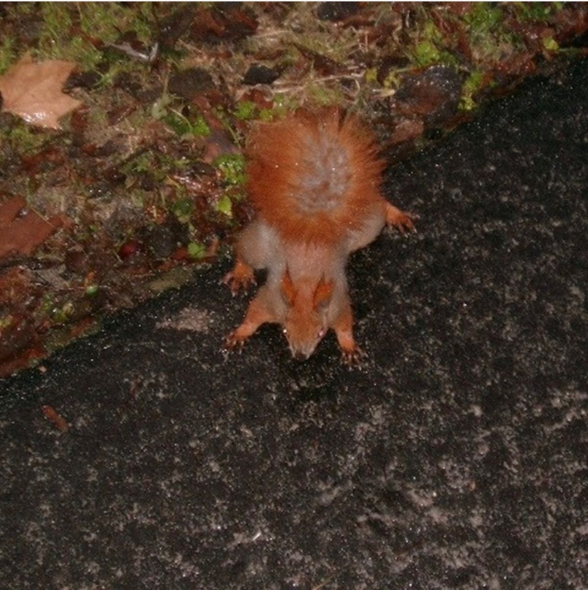 2008年1月20日頃。ワルシャワ。郊外のホステル周辺。