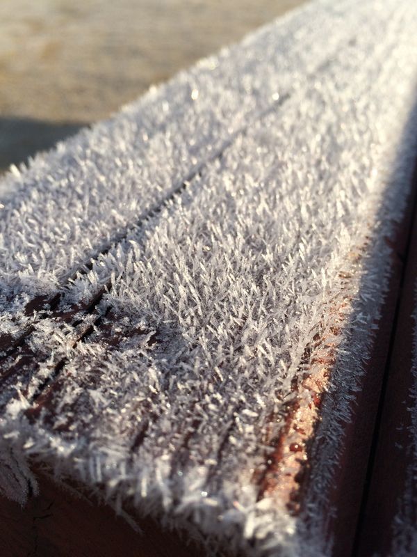 日本・佐賀県「九州旅行」の写真