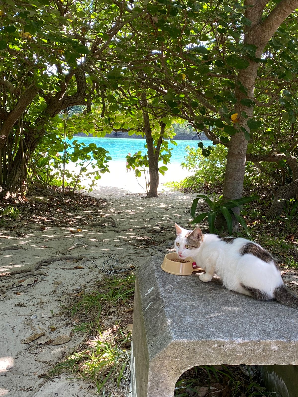 𓇼気に入っている写真📷𓆉