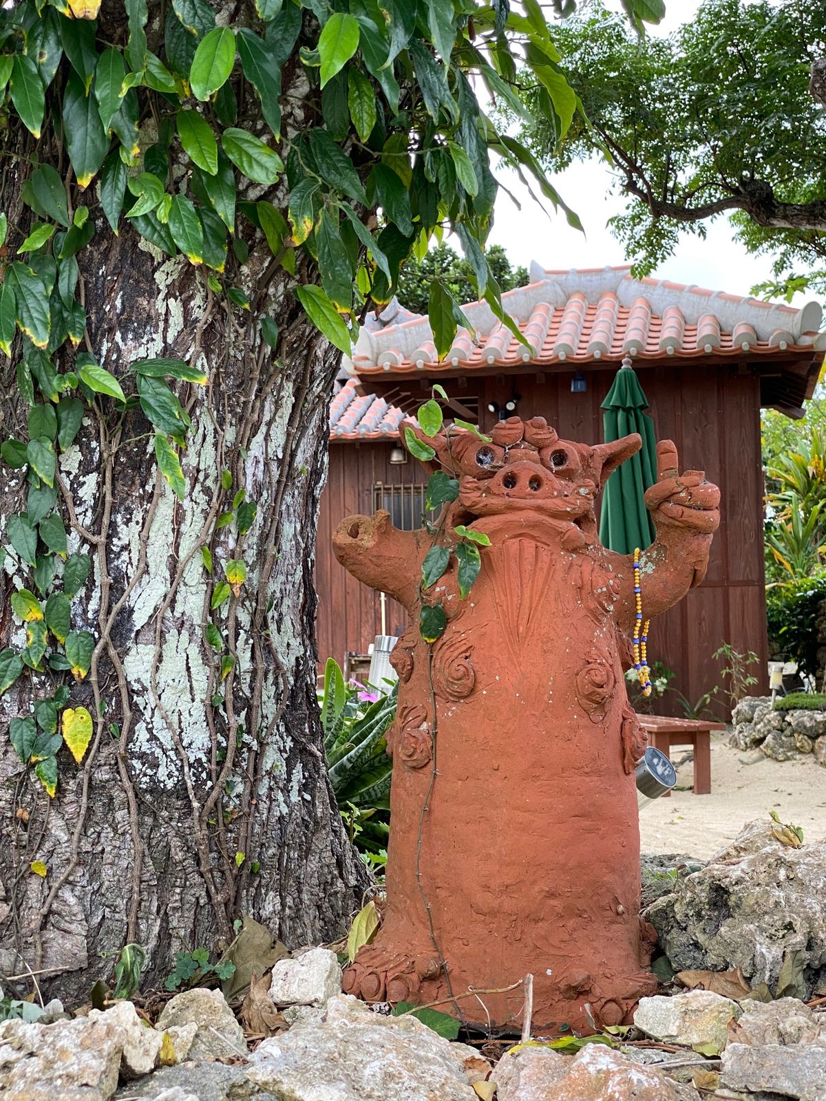 𓇼気に入っている写真📷𓆉