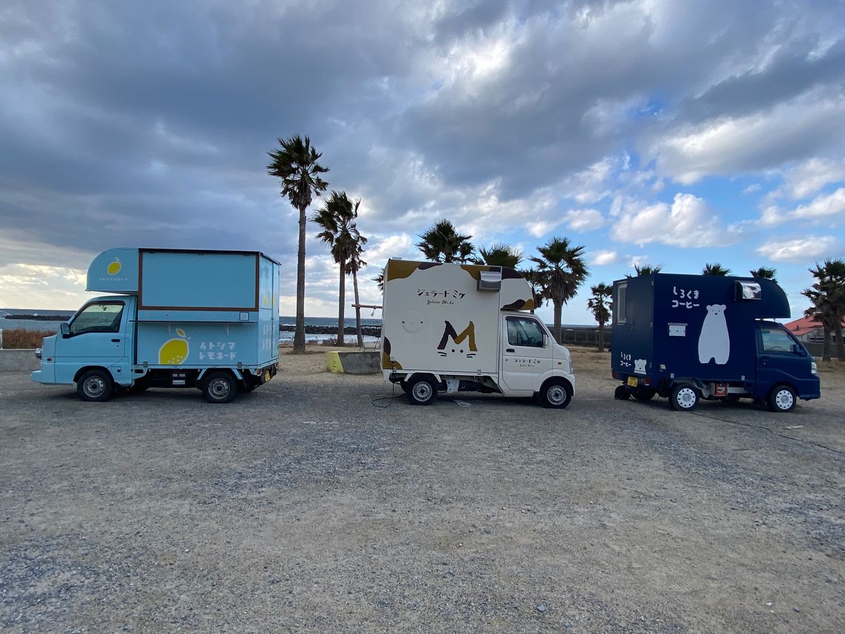 インスタ映えが多いスポット🧚‍♀️
ヤシの木ブランコは、実際に乗って気持ち...