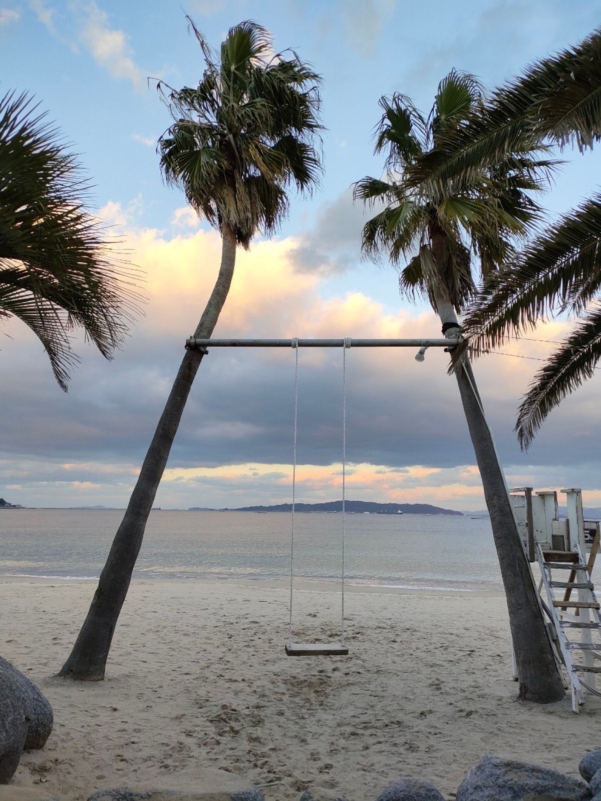 インスタ映えが多いスポット🧚‍♀️
ヤシの木ブランコは、実際に乗って気持ち...