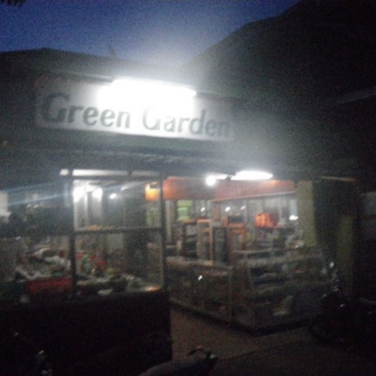 2010年10月25日頃。マナド。地球の歩き方に載ってたgreen という...