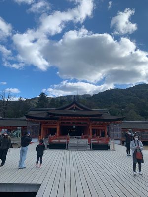 厳島神社の鳥居改装中。レアパターン