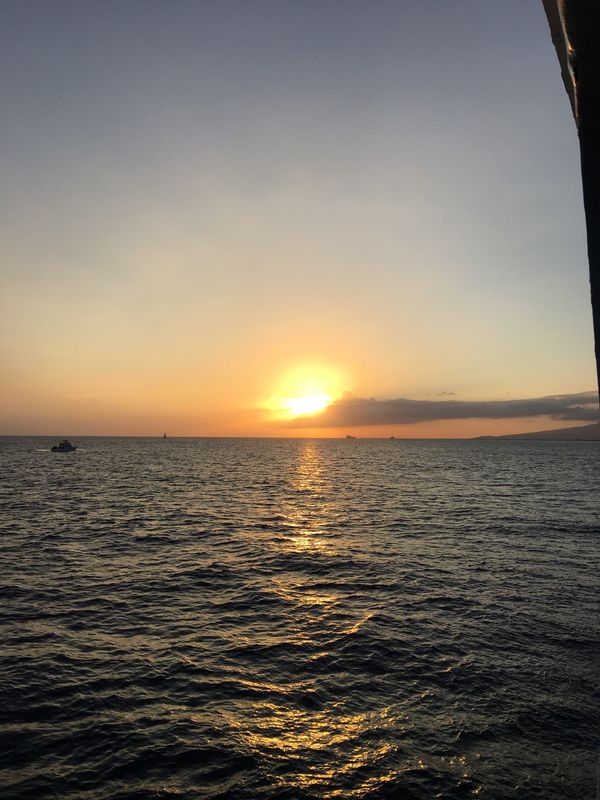 アメリカ(米国)・ホノルル「ハワイ新婚旅行」の写真：ディナークルーズ、奇跡的に会社の人と同じ...