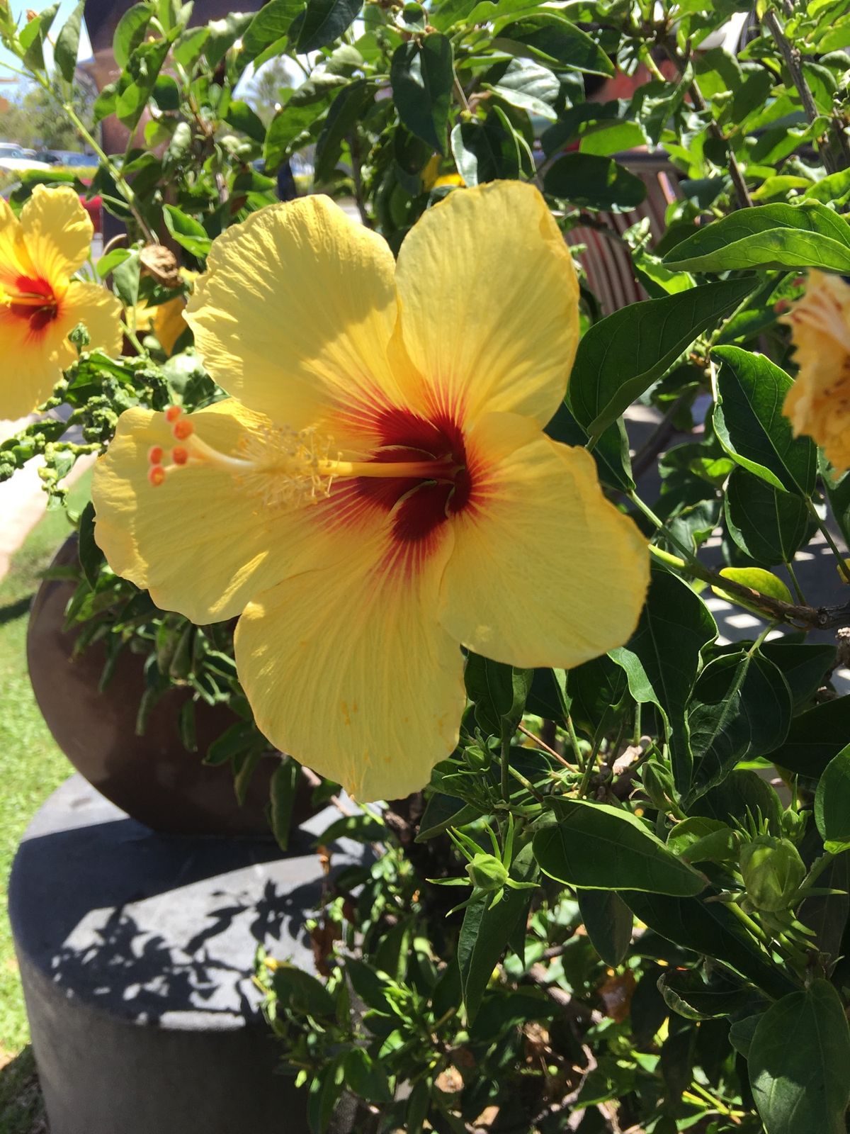 ブーツアンドキモズ、現金のみの店で焦る。日本人の方が両替してくれた。助かり...