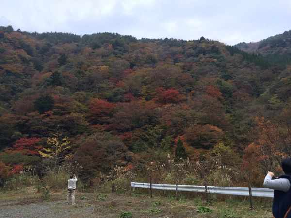 日本・熊本県「五家荘」の写真：どれも綺麗