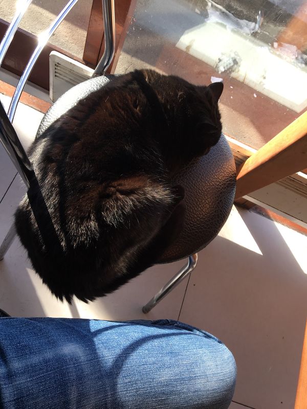 大韓民国 (韓国)「境港→ ウラジオストク→ 東海→ 境港」の写真