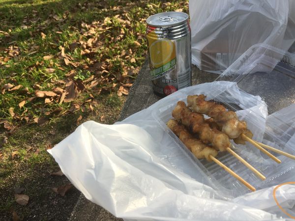 大韓民国 (韓国)「境港→ ウラジオストク→ 東海→ 境港」の写真