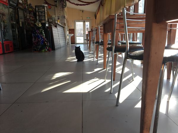 大韓民国 (韓国)「境港→ ウラジオストク→ 東海→ 境港」の写真