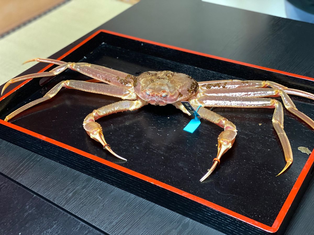 どうしてもお腹いっぱい蟹を食べたくて
ランチに奮発して山本屋さんへ🚘

ギ...