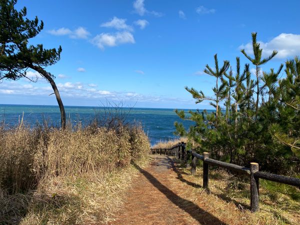 日本・石川県「出張ついでに山代温泉♨️」の写真：なんで尼御前岬なんだろう？って思ってたら...