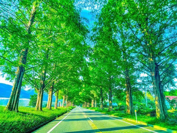 日本・滋賀県「滋賀撮影旅」の写真