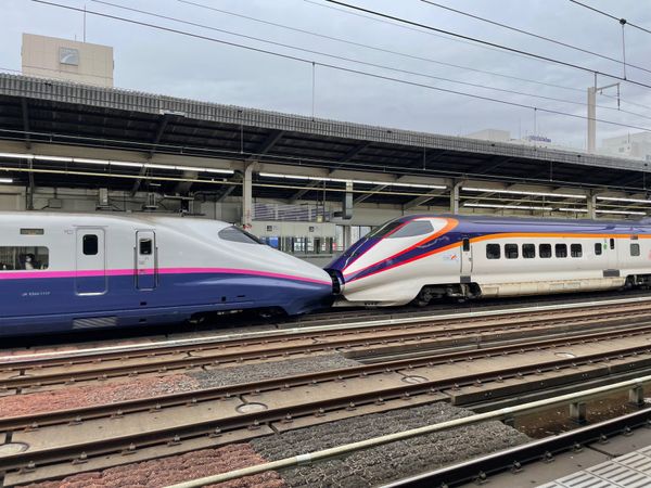 日本・東京都「東京出張」の写真