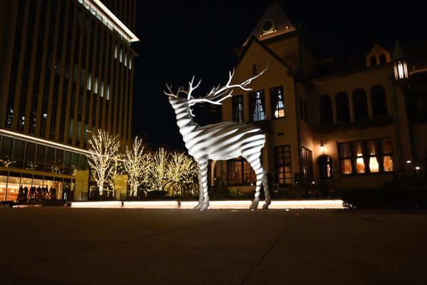 日本・東京都「東京出張」の写真