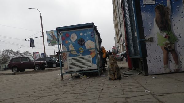 ウクライナ「神戸港→ 上海→ サンクトペテルブルク→ ミンスク→ キエフ→ ヘルソン→マイコライフ→オデッサ→ モルドバ→ オデッサ→ キエフ→ フランクフルト→キエフ→関空」の写真