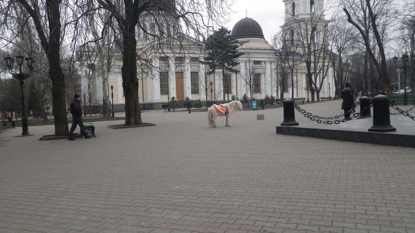 ウクライナ「神戸港→ 上海→ サンクトペテルブルク→ ミンスク→ キエフ→ ヘルソン→マイコライフ→オデッサ→ モルドバ→ オデッサ→ キエフ→ フランクフルト→キエフ→関空」の写真