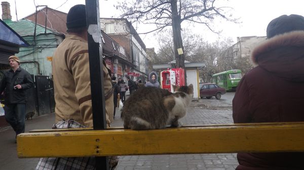 ウクライナ「神戸港→ 上海→ サンクトペテルブルク→ ミンスク→ キエフ→ ヘルソン→マイコライフ→オデッサ→ モルドバ→ オデッサ→ キエフ→ フランクフルト→キエフ→関空」の写真