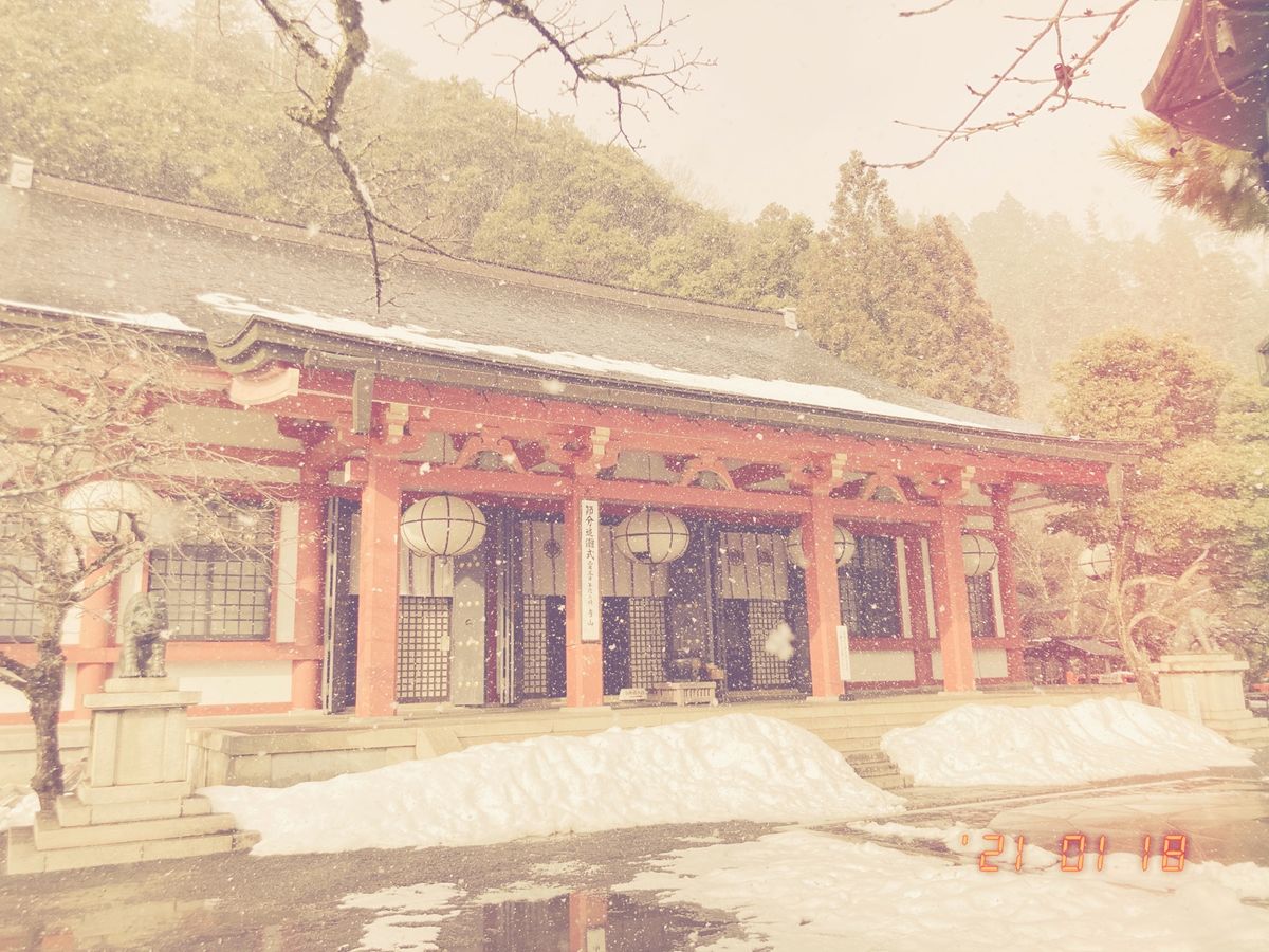 ⭐︎鞍馬寺⭐︎
・牛若丸修行の地
・参拝後はさらに雪が…❄️
・阿吽の虎