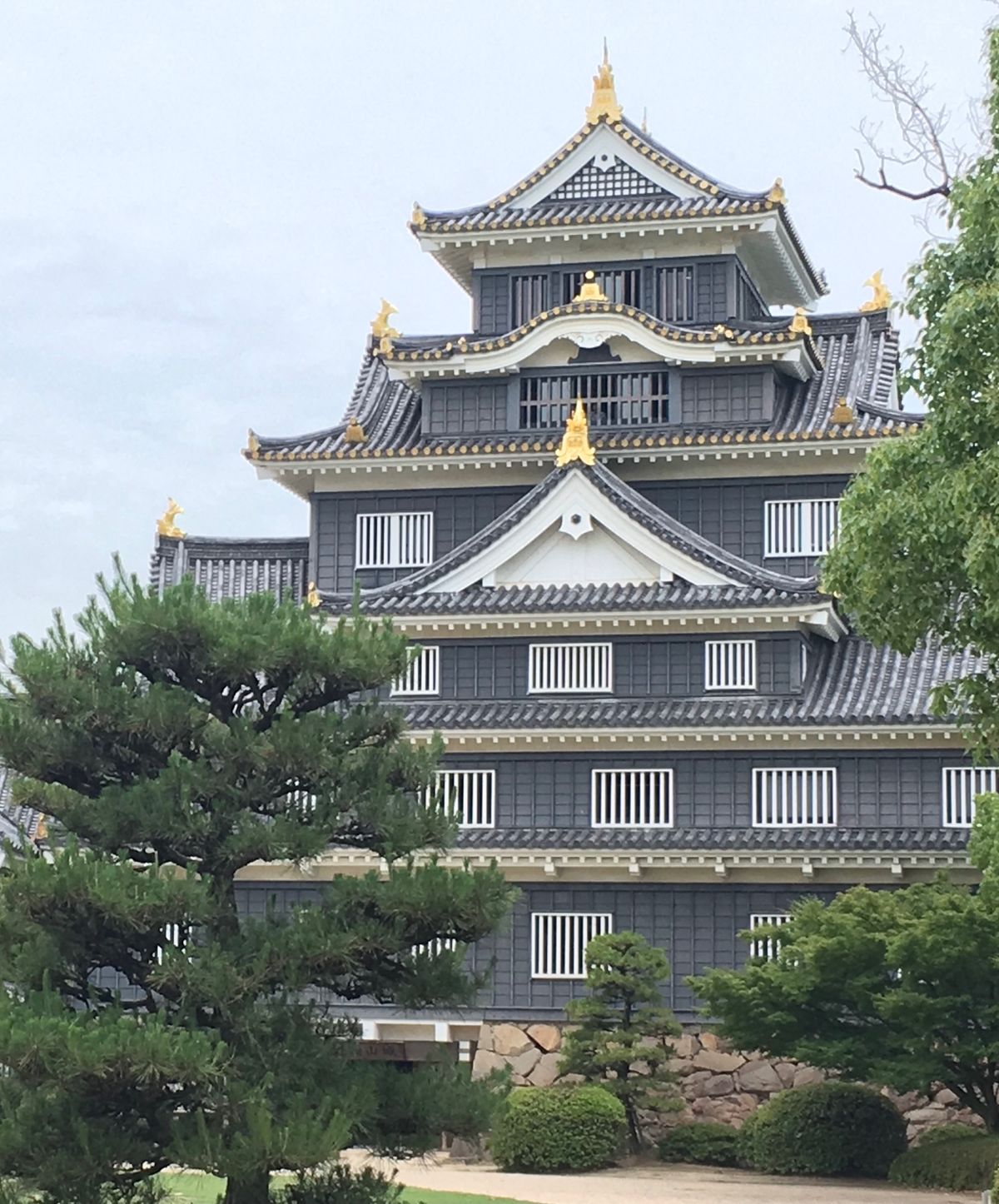 ⭐︎岡山城⭐︎
・ホテルから望む岡山城
・別名　烏城
・漆黒のお城
・金の桃瓦