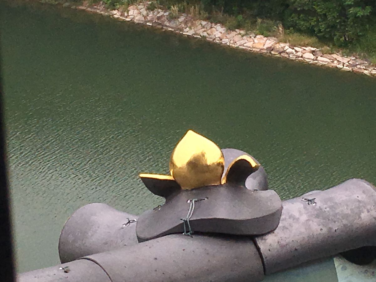 ⭐︎岡山城⭐︎
・ホテルから望む岡山城
・別名　烏城
・漆黒のお城
・金の桃瓦