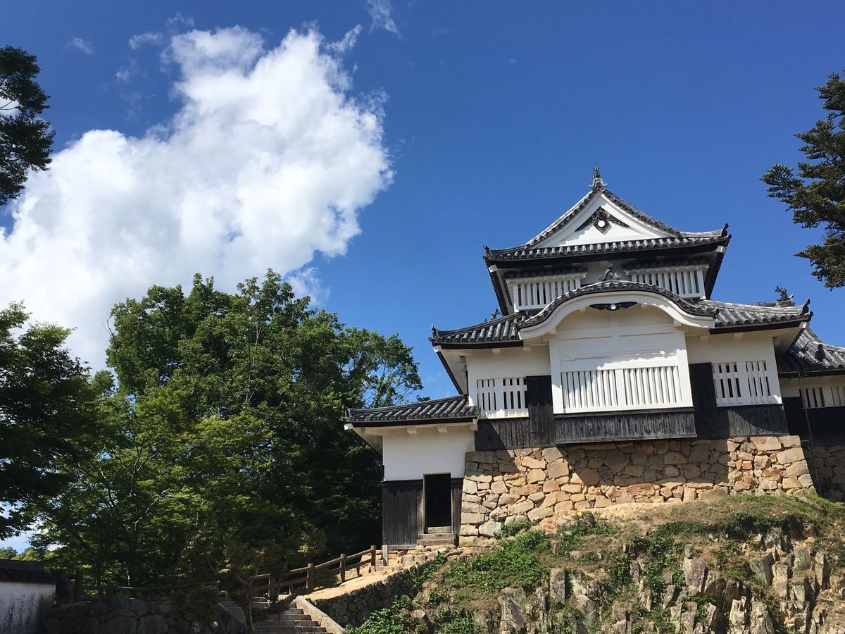 ⭐︎備中松山城⭐︎
・日本100名城
・現存天守
・猫城主さんじゅーろーが...