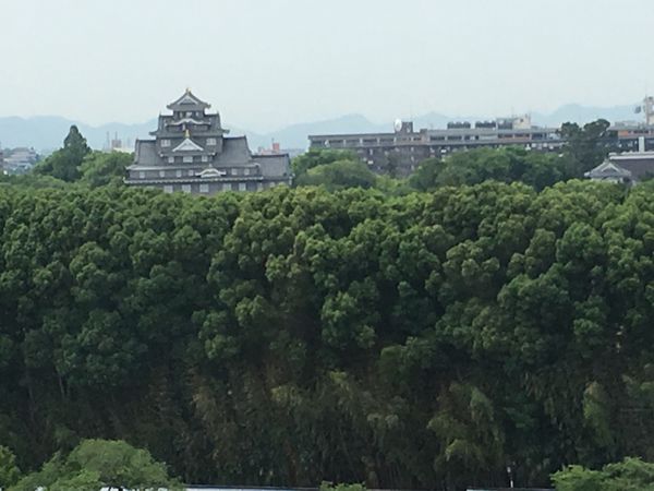 日本・岡山県「同僚と岡山旅行」の写真：⭐︎岡山城⭐︎
・ホテルから望む岡山城
...