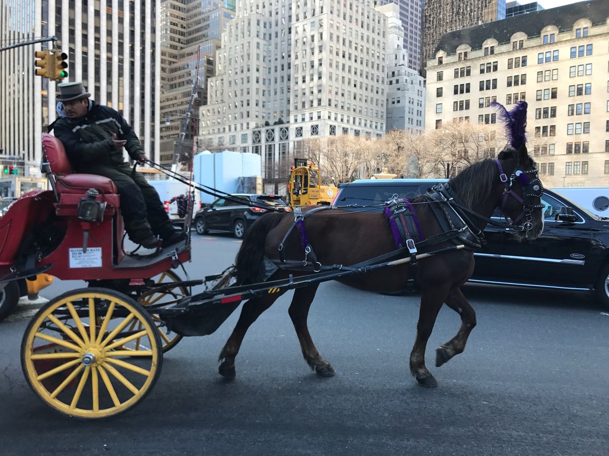 #プラザホテル #ホームアローン2