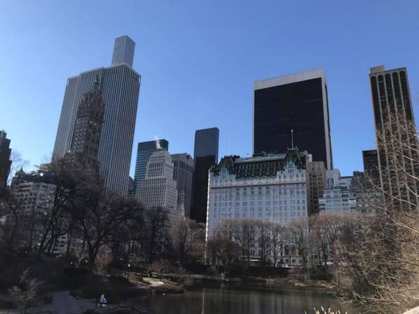 アメリカ(米国)・ニューヨーク「🚕Trip to NY 🇺🇸」の写真：憧れのプラザホテル