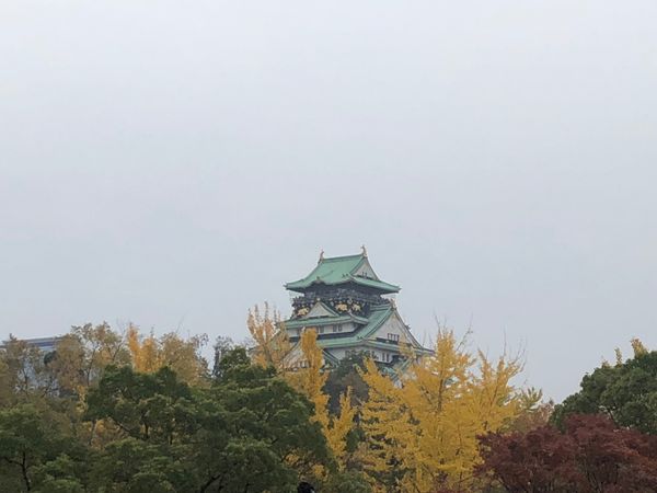日本・京都府「大阪・京都　母とふたり旅」の写真
