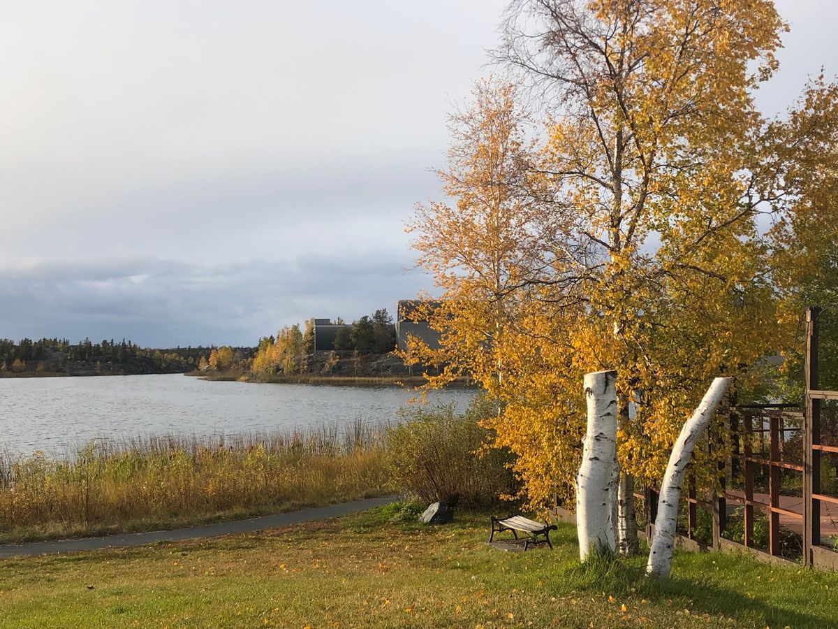 オーロラばっちり見られました👌