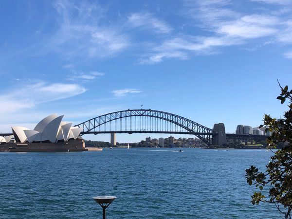 オーストラリア連邦・シドニー「オーストラリア（NSW）」の写真