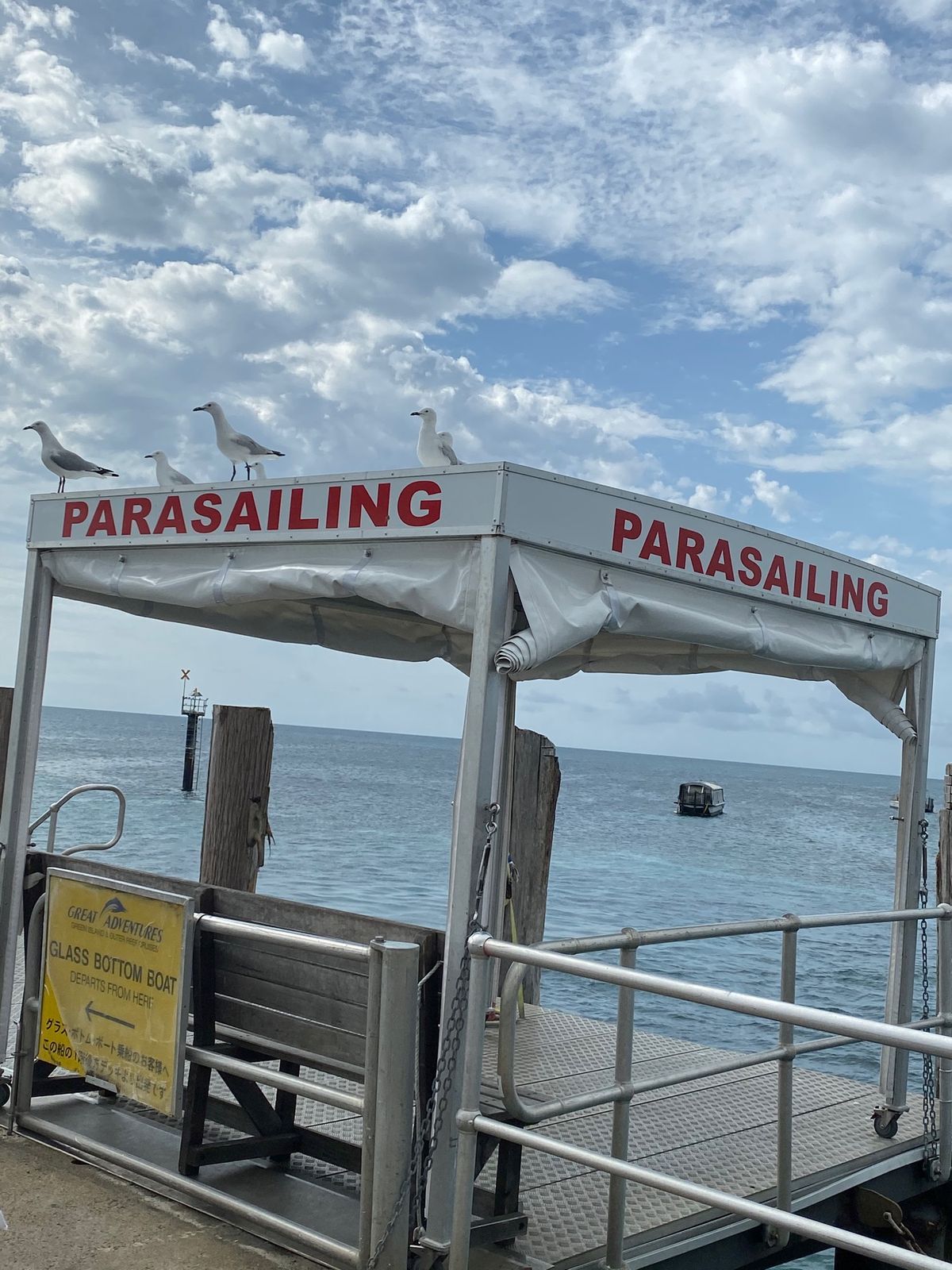 グリーン島🌴𓇢𓅮