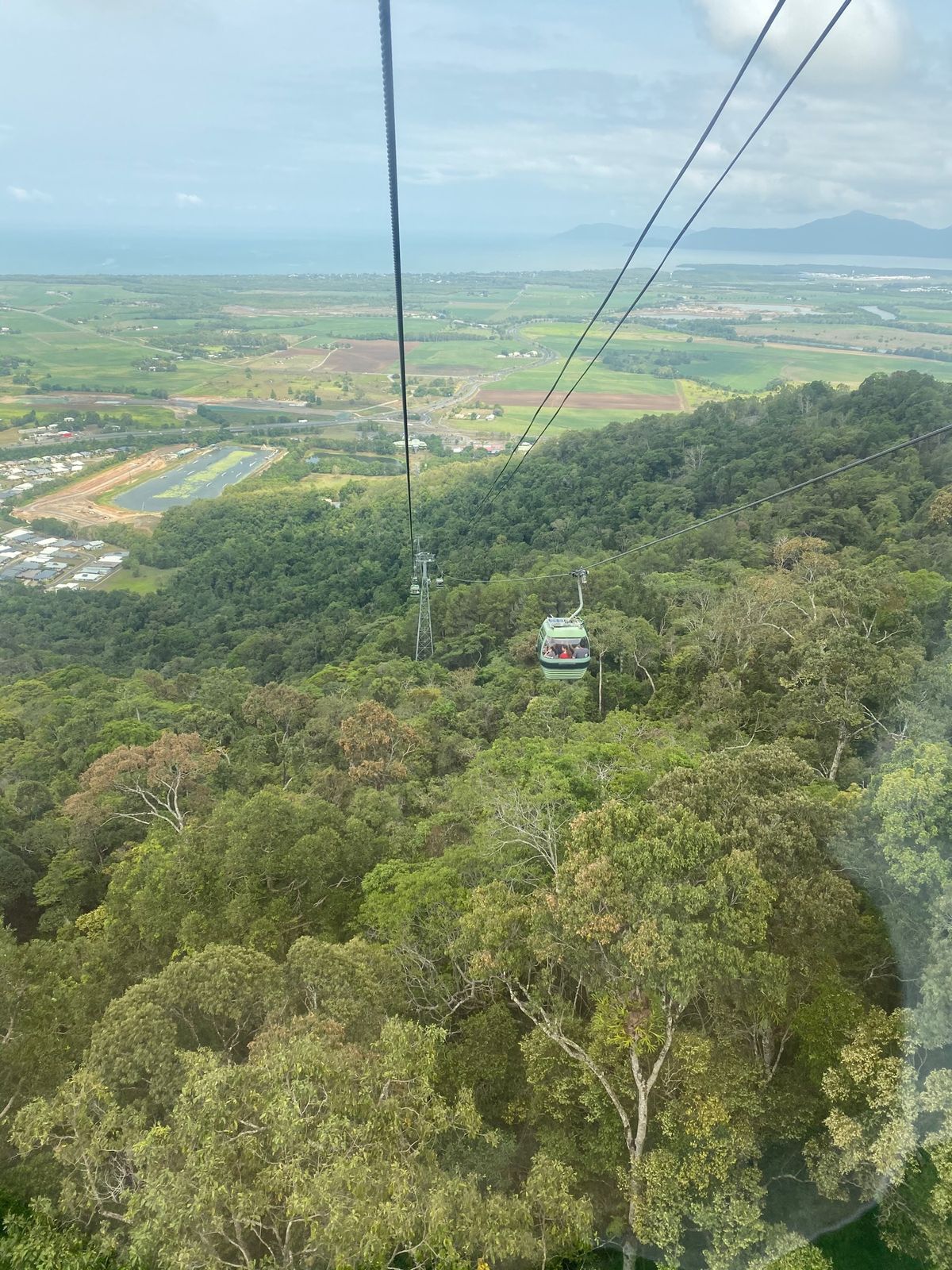 ゴンドラに乗って、熱帯雨林の上を空中散歩できるスカイレール✨