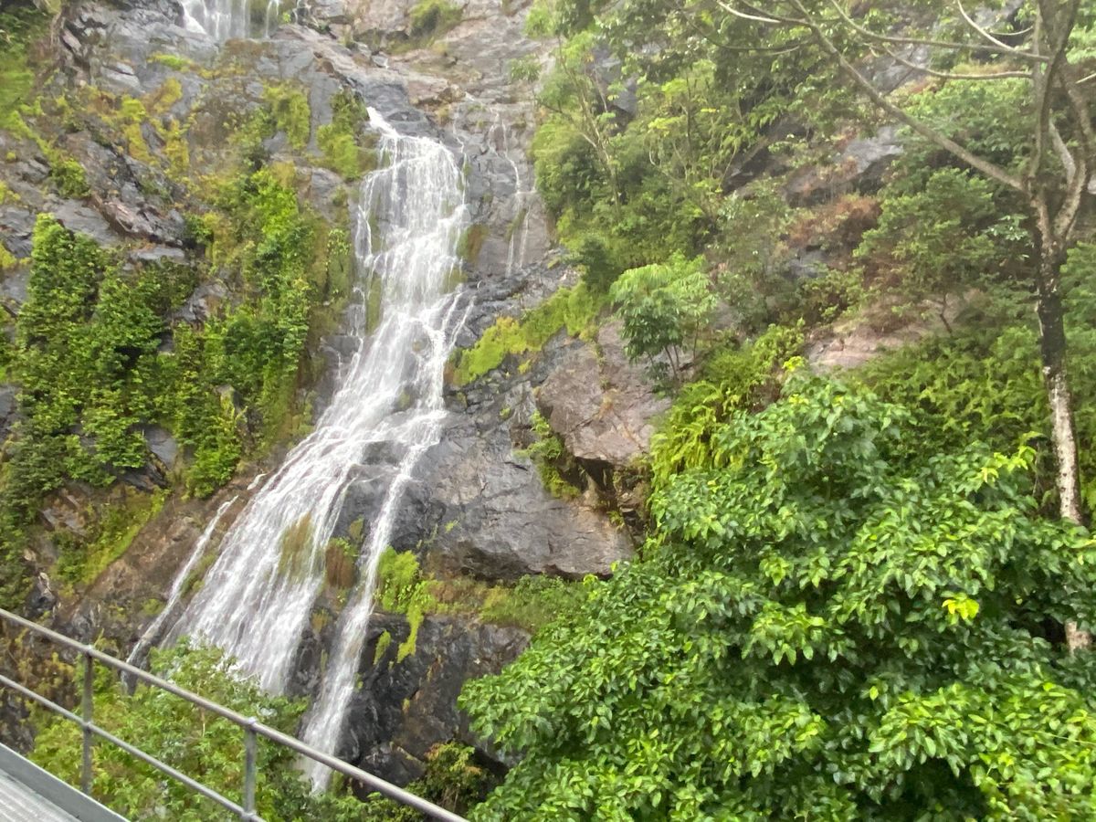 ～キュランダ観光～

途中いくつもの絶景スポットがあり、ベストショットが撮...