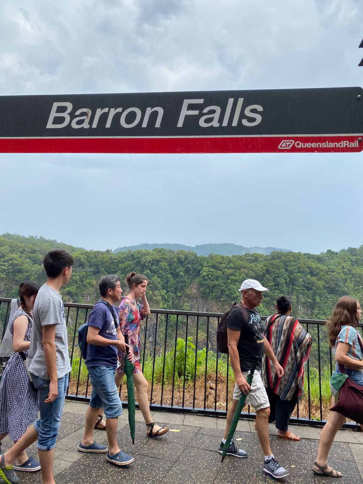 ～キュランダ観光～

途中いくつもの絶景スポットがあり、ベストショットが撮...