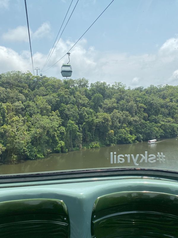 オーストラリア連邦・ケアンズ「ケアンズ🦘」の写真：ゴンドラに乗って、熱帯雨林の上を空中散歩...
