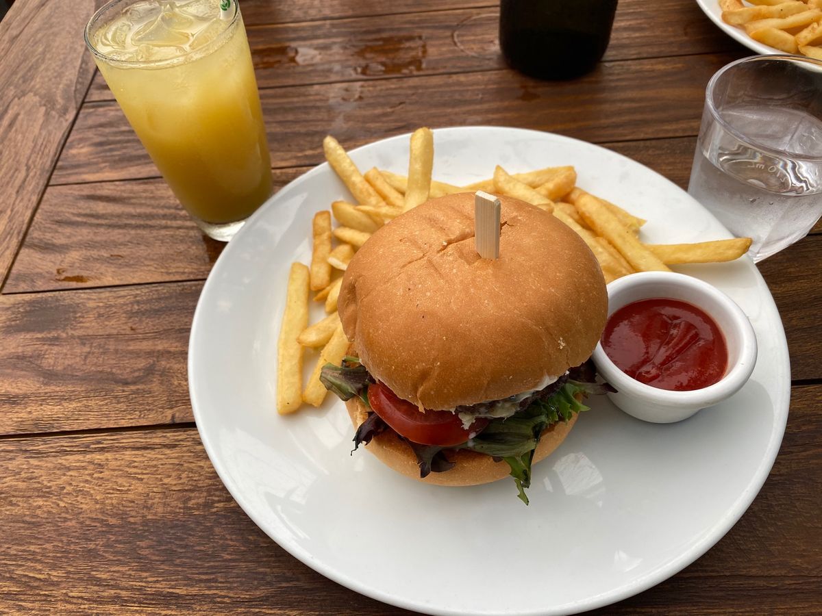 グリーン島🌴𓇢𓅮